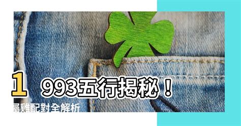 1993雞五行|【1993年生肖五行】1993年屬雞的五行缺什麼？生肖屬性解析與。